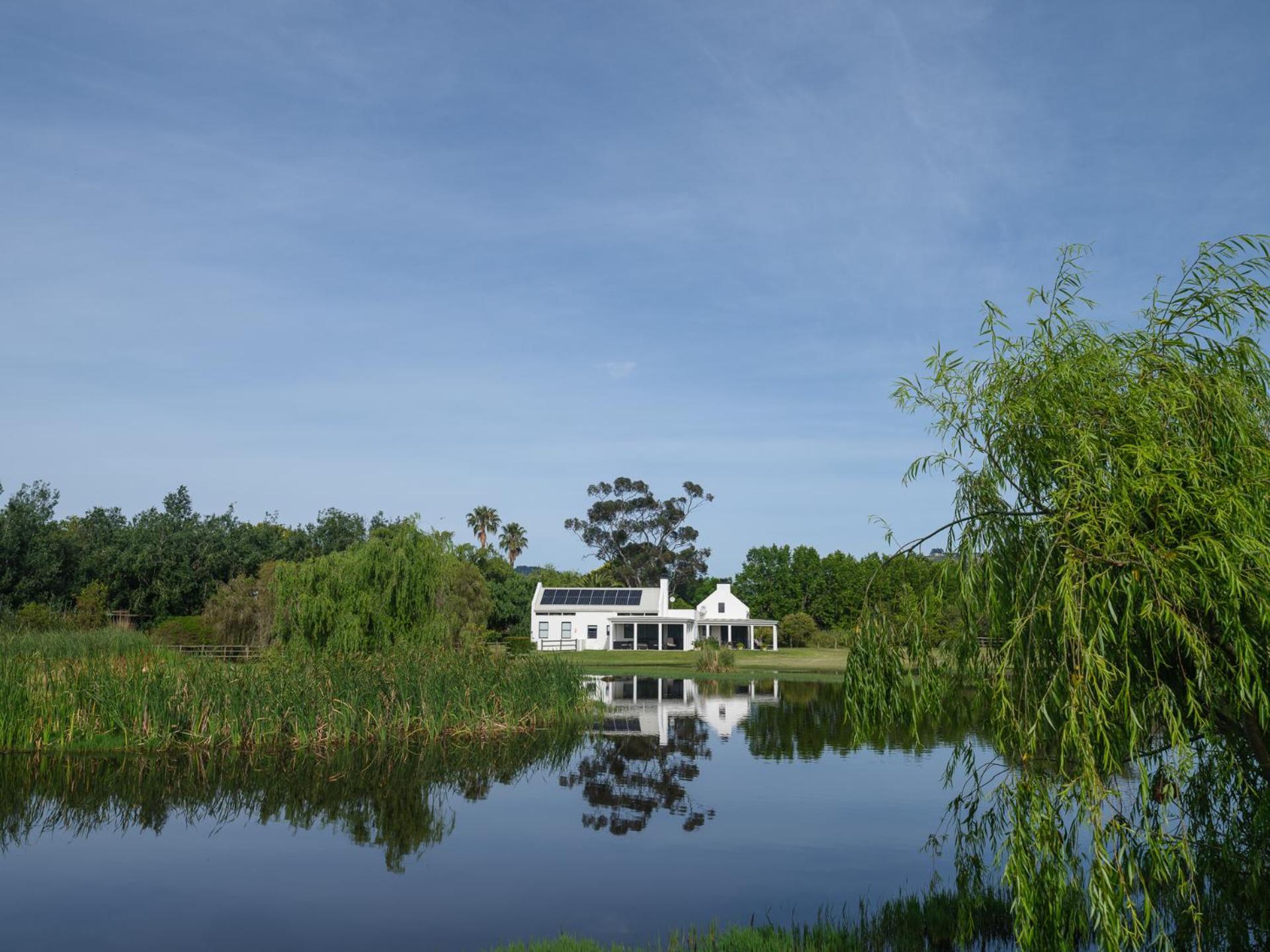Sanddrif Stellenbosch Guest Farm Екстериор снимка