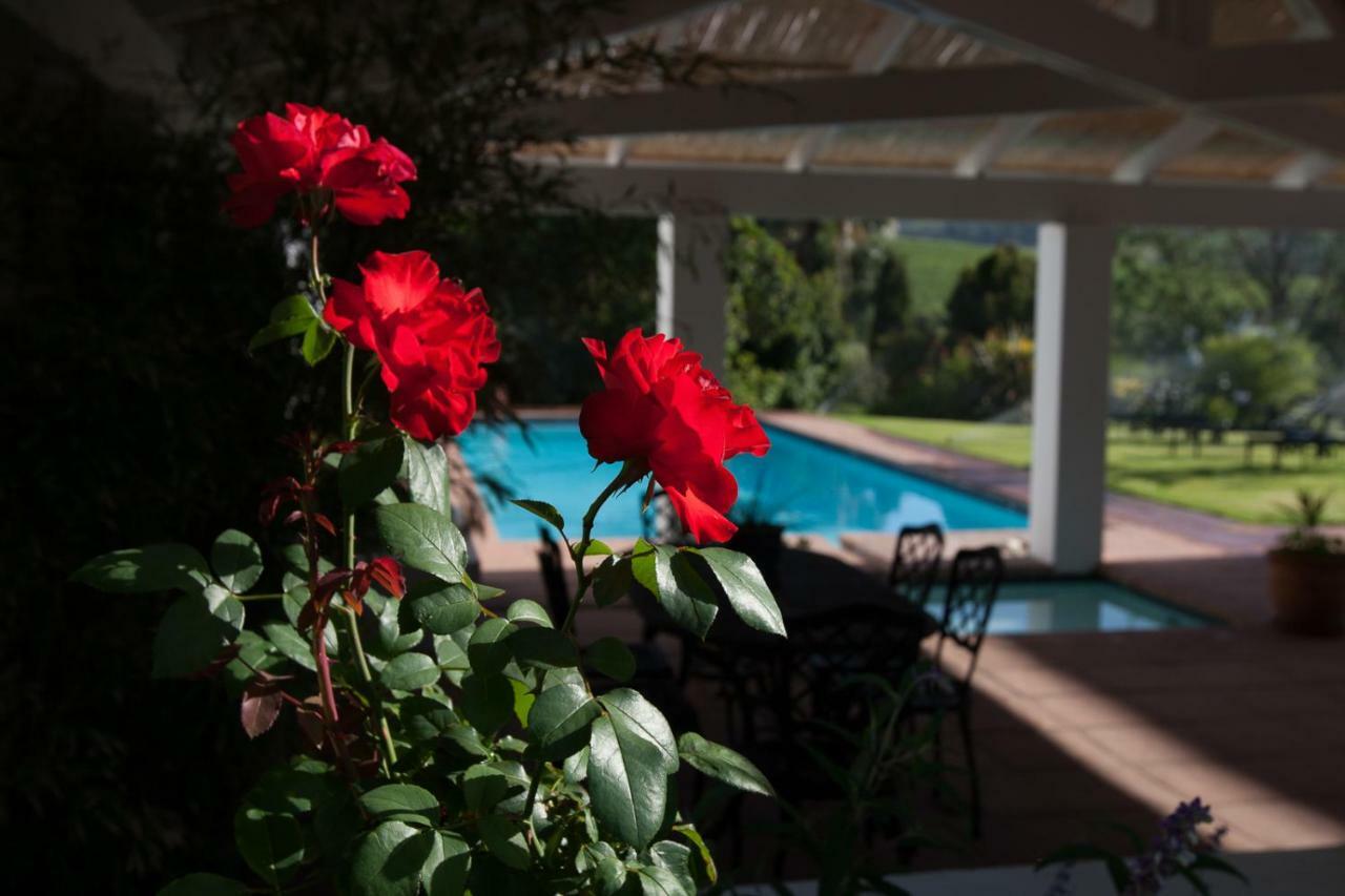 Sanddrif Stellenbosch Guest Farm Екстериор снимка