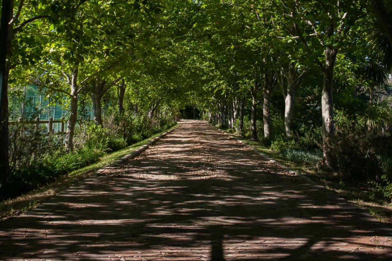 Sanddrif Stellenbosch Guest Farm Екстериор снимка